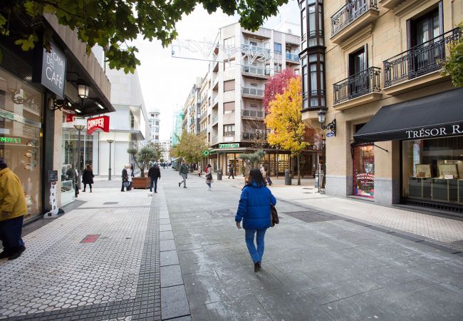 Apartment in San Sebastián - E1 APARTMENT WITH BALCONY IN SAN MARCIAL 33 Apartment in San Sebastián - E1 APARTMENT WITH BALCONY IN SAN MARCIAL 33